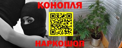 ГАЛЛЮЦИНОГЕННЫЕ ГРИБЫ Нальчик