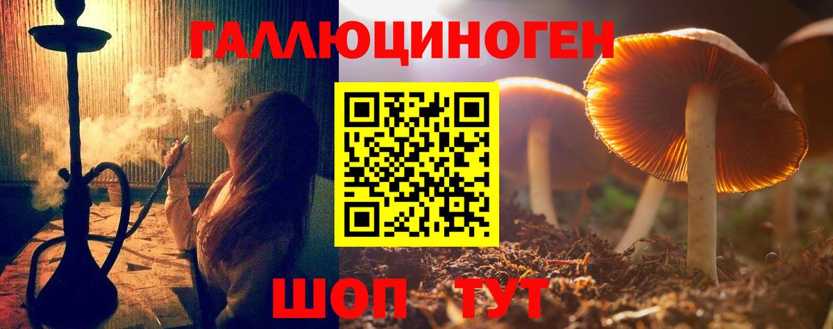Удомля  Псилоцибиновые грибы Psilocybe  даркнет сайт  Вход с VPN  Псилоцибиновые грибы мицелий 